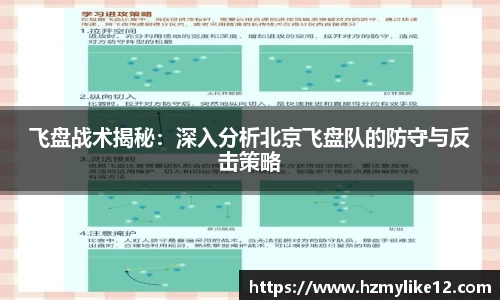 飞盘战术揭秘：深入分析北京飞盘队的防守与反击策略