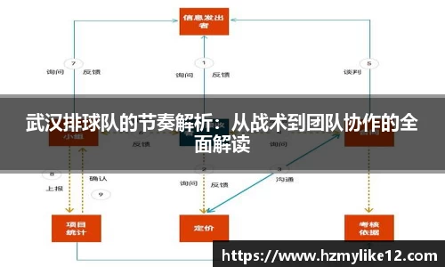 武汉排球队的节奏解析：从战术到团队协作的全面解读