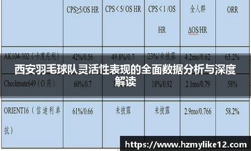 西安羽毛球队灵活性表现的全面数据分析与深度解读